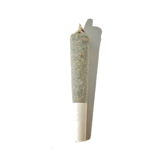 Pre-Roll Types Explained: Flower, Infused, Singles, and Multipacks