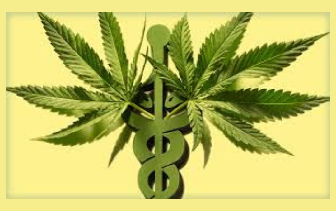 federal vs state perspectives