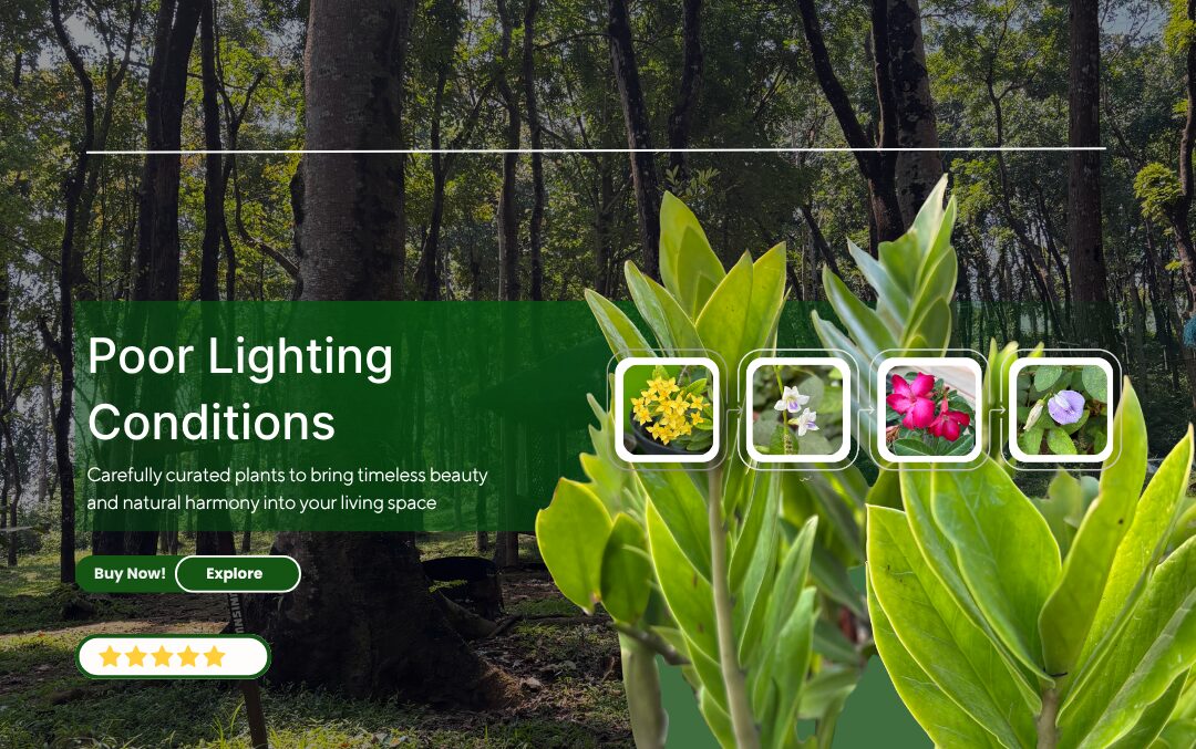 poor lighting conditions