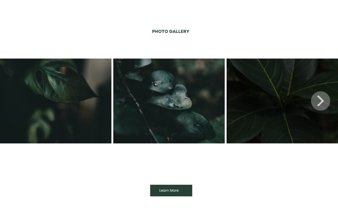 skipping training and pruning