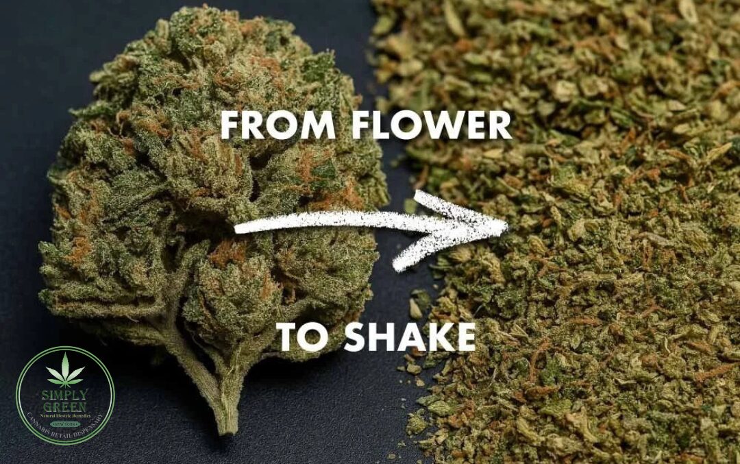 that Is shake trim a complete beginner’s guide