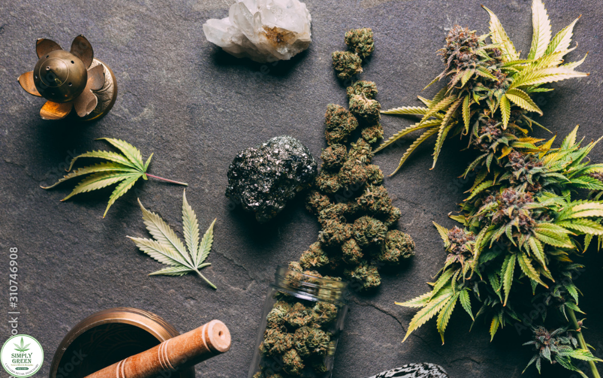 Best Cannabis Drug for Creativity and Focus Best Cannabis Drug