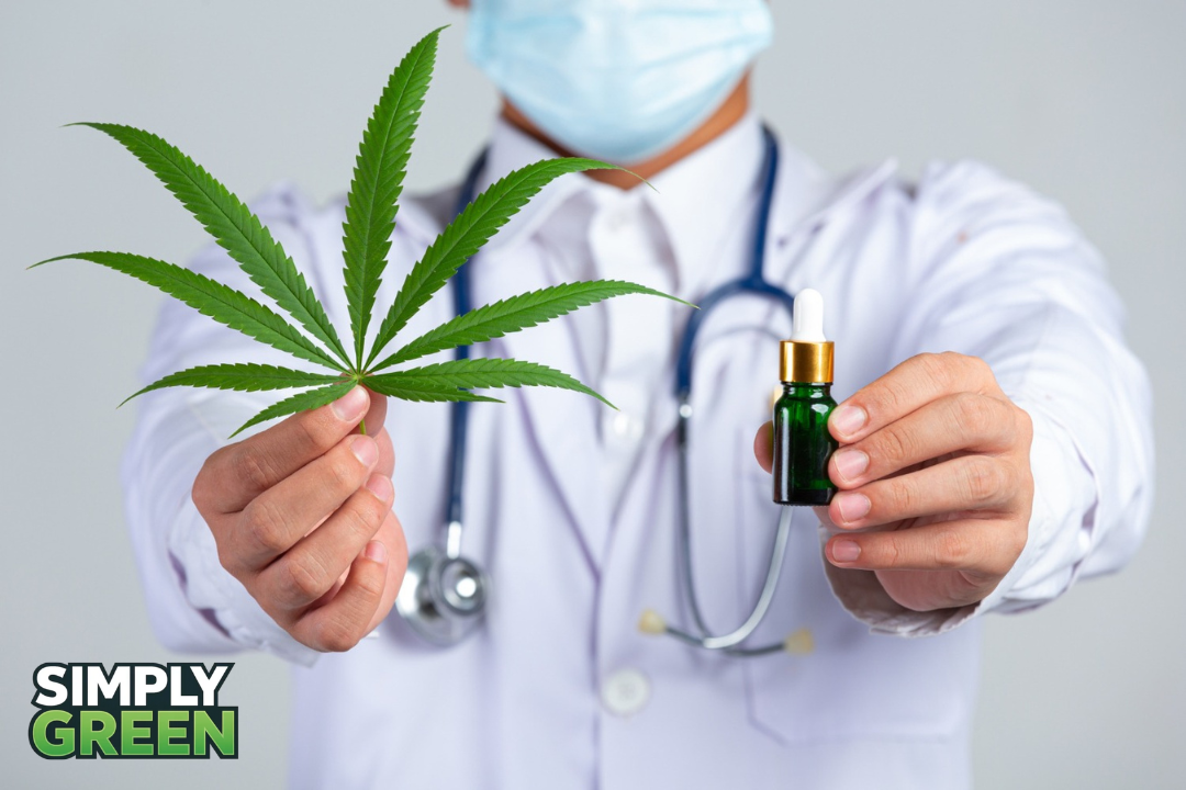 cannabis oil for anxiety does it really work