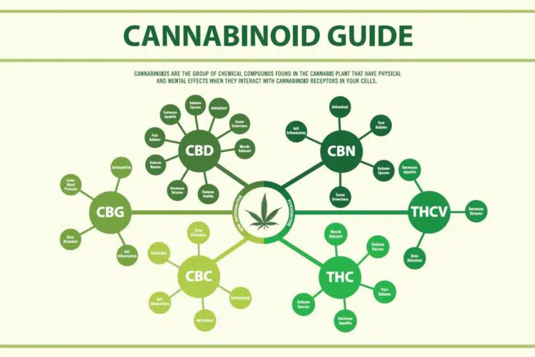 potential risks and side effects