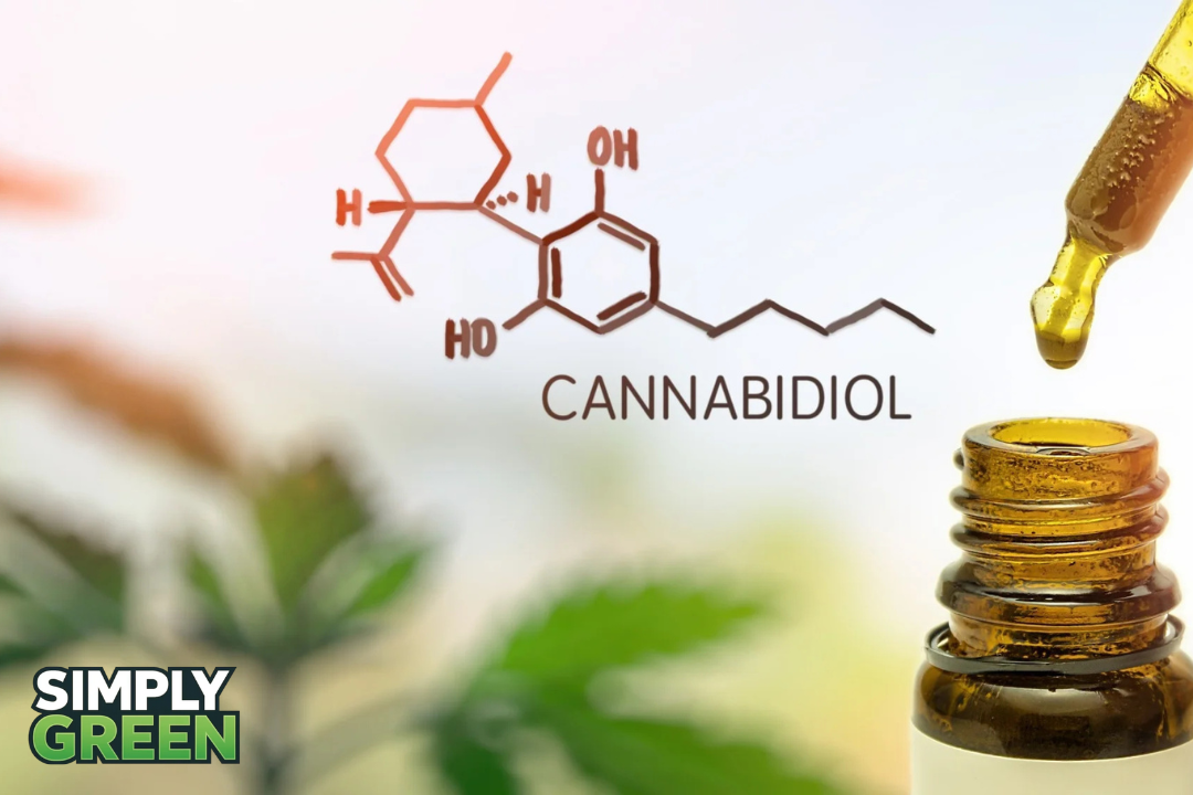science behind cannabis oil and anxiety