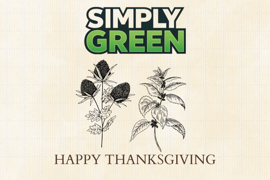 thanksgiving specials at dispensaries near me (1)