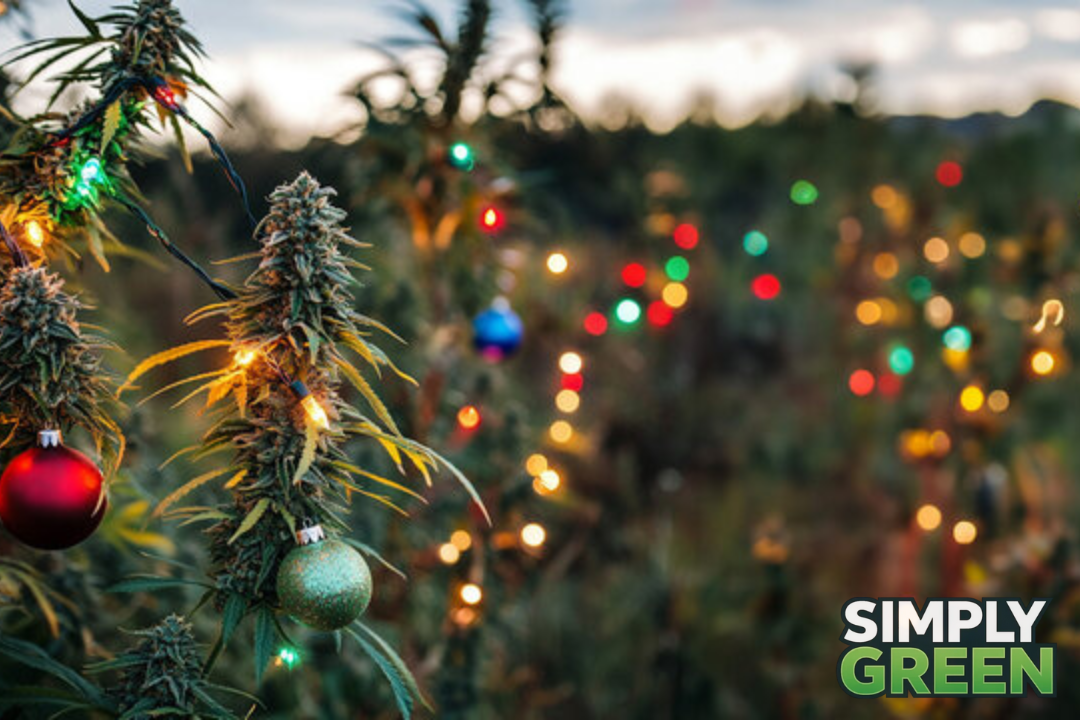 christmas cannabis christmas gifting ideas for cannabis lovers