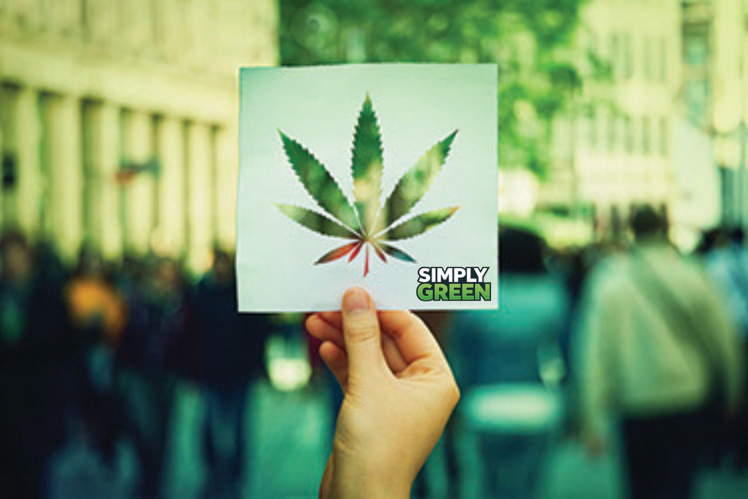 key challenges in medical marijuana laws in 2026