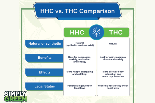 hhc vs thc choosing the right cannabinoid for you