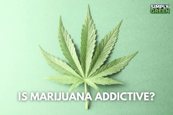 is marijuana addictive facts myths and research