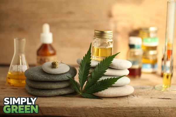 top 5 cannabis oil products on the market in 2026