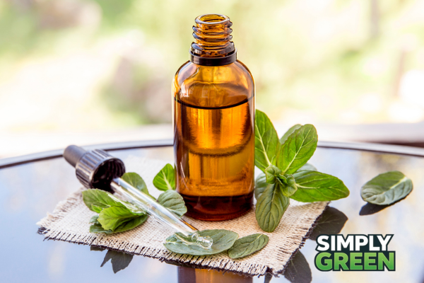 choosing the right tincture with simply green