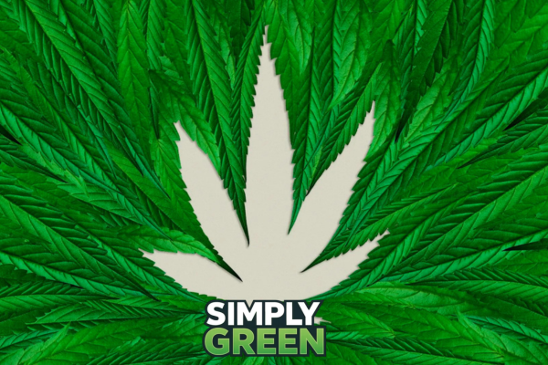 medicinal uses of certain weeds plant species