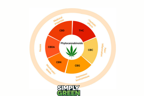 potential therapeutic benefits