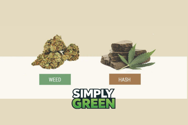 top benefits of using hash in 2026